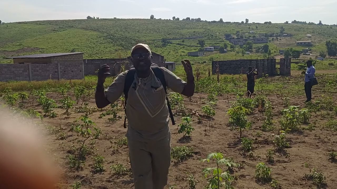 Le 10/2/2026 a VENDRE 3 PARCELLES DE 15M/25 A KIMPOKO EN FACE DE CITÉ DIASPORA PRIX NEGOCIABLE