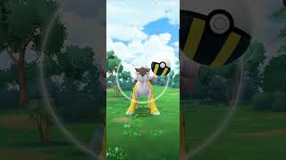 catching raikou