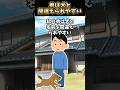 【笑える犬猫スレ】弟は犬と間違えられやすい