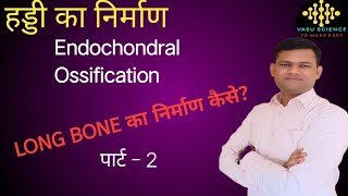 हड्डी का निर्माण/What is Endrochondral Ossification // Long bone/ primary or Secondary Ossification