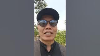 HARGA CABAI MAHAL; Bongkar Rahasia Tanam Cabai