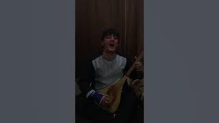 نجیب کشمی جدید 2018