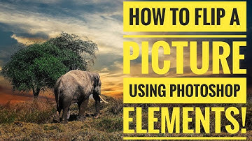 How to flip a picture using photoshop elements
