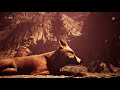 Nephise Begins Прохождение=Симулятор грибника и большая лиса=