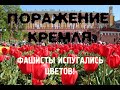 Поражение Кремля. Фашисты испугались цветов!