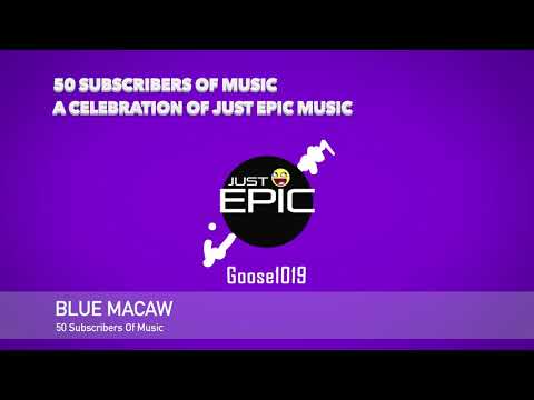 blue-macaw-|-50-subscribers-of-music---a-celebration-of-just-epic-music