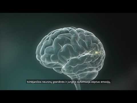 Video: Žmogaus Smegenys Bus Praturtintos Dirbtiniais Neuronais - Alternatyvus Vaizdas