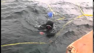 Buzos mariscadores de Carelmapu descubren naufragio en Canal de Chacao (1 de 7)