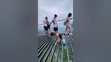 Travel Exploring | Python vs Train | Amazon Jungle 📍😱 #youtubeshorts #wow #nature  #4k #travel