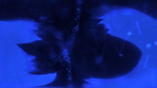 deep blue deep blue