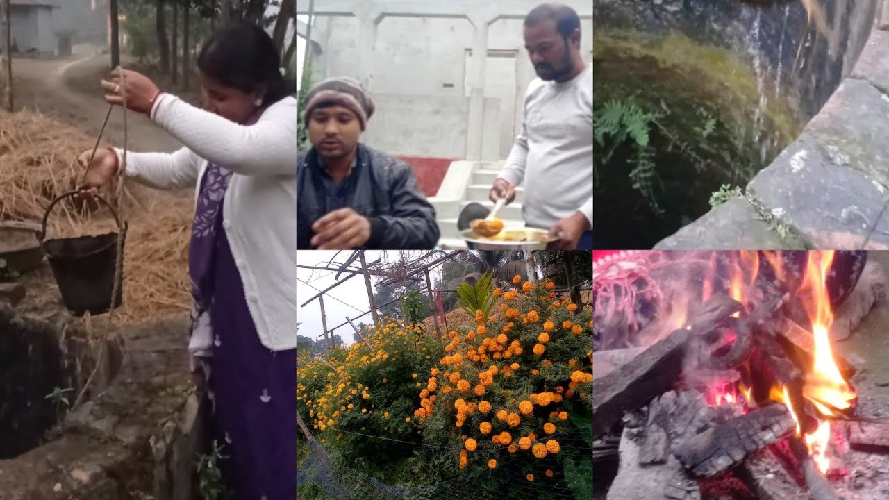 বর কে নিয়ে প্রথম বার গেলাম  ছোট পিসির বাড়ি 😊🏘️  ফুলেরবাগান দেখে অবাক😱সাথে200বছরআগের কুয়ো দেখলাম 🪵🏞️💦
