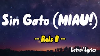 Sin Gato (MIAU!) ( Letras / Lyrics ) - Rels B