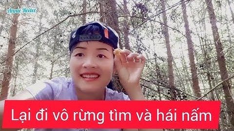 Đi vô rừng tìm và hái nấm P2 | Mushroom Chanterelle hunting in the forest P2 | Annie Reiter