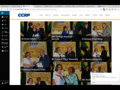 Plone Updating the theme with plu-up