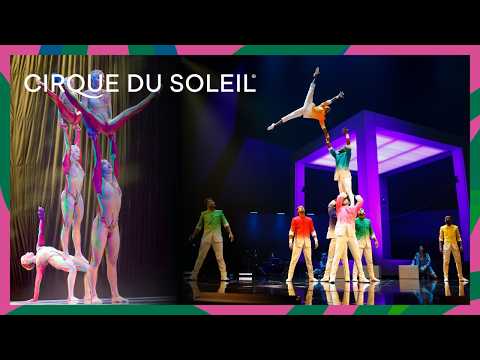 Colorful Performances That Brighten the Stage | Cirque du Soleil