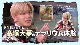 【新生活のお供に】髙塚大夢のコケテラリウム体験🪴