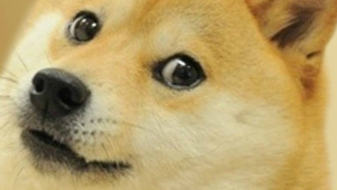 Doge Roblox