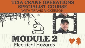 How to Stay Safe Around Electrical Hazards when Removing Trees with a Crane - Treestuff