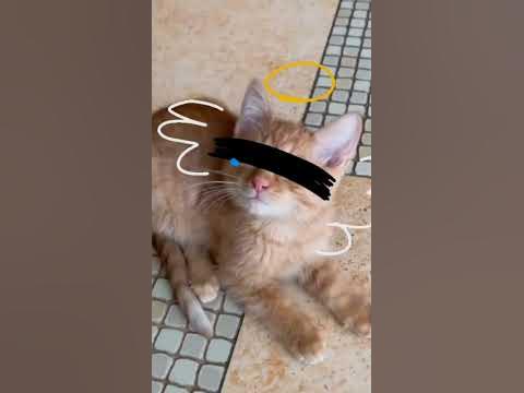 покойся с миром символ младший мы тебя никогда не забудем:_( - YouTube