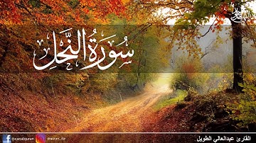 مقطع من سورة (النّحل) القارئ عبد العالي الطويل  💙🎧