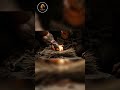 Life Million Years Ago | Hominid History Hub | The Struggle for Survival in Prehistoric Times #75
