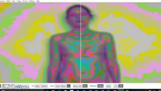 The Biofield Viewer, digital clairvoyance
