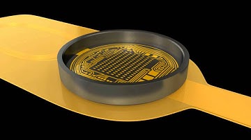 This neural implant is designed to be implanted in the human central and nervous systems