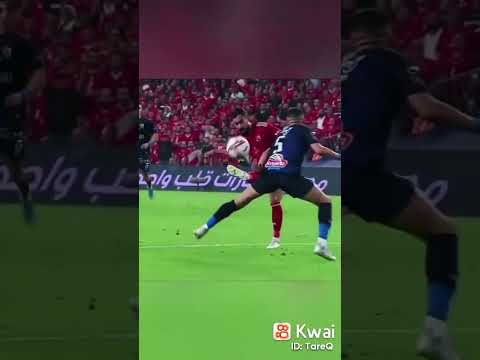 ١١ نوفمبر ٢٠٢٢