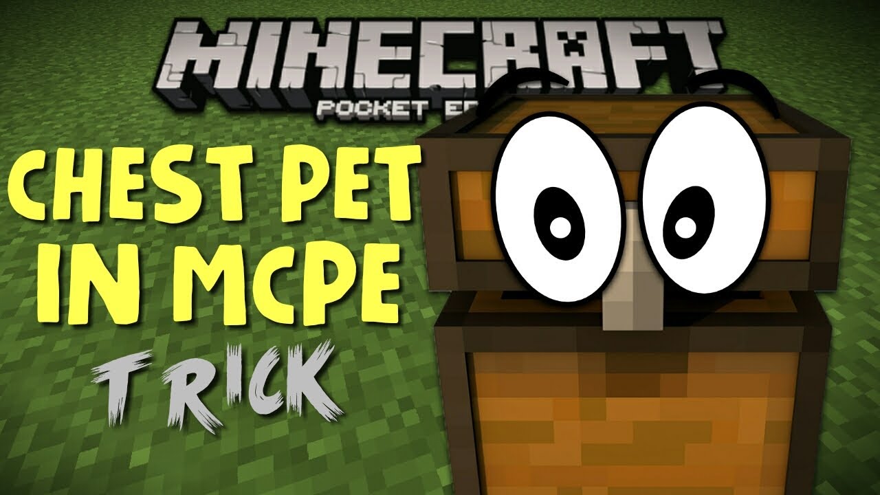 HOW TO MAKE A CHEST PET IN MCPE CHEST PETS TRICK MCPE YouTube