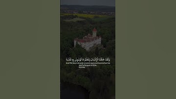 سورة ق - ولقد خلقنا الانسان ونعلم ما توسوس به نفسه - حالات واتس