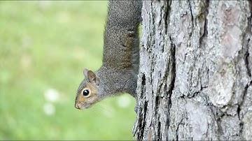 Mary Beth Prondzinski