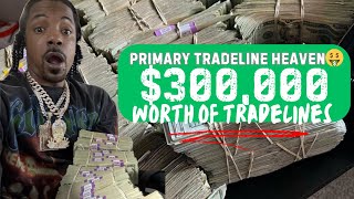 Secret Primary Tradeline Site $300,000 Worth Of Auto &amp; Mortgage Packages All In One🔥 #new #education