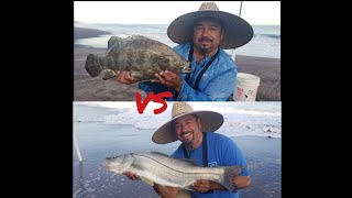 Los Cabos Pesca de ROBALOS y BERRUGATES