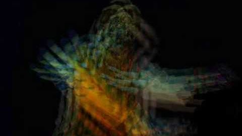 Manifold Embeddings Demo