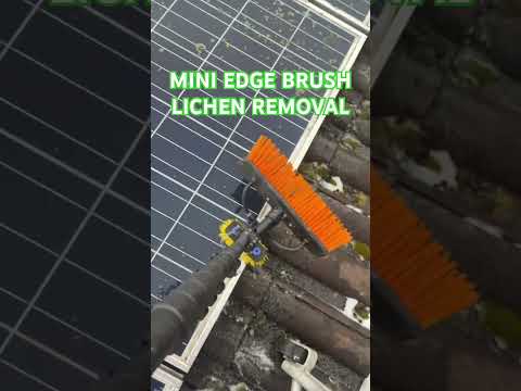 Watch This Mini Brush Remove Lichen From Solar Panels #Shorts