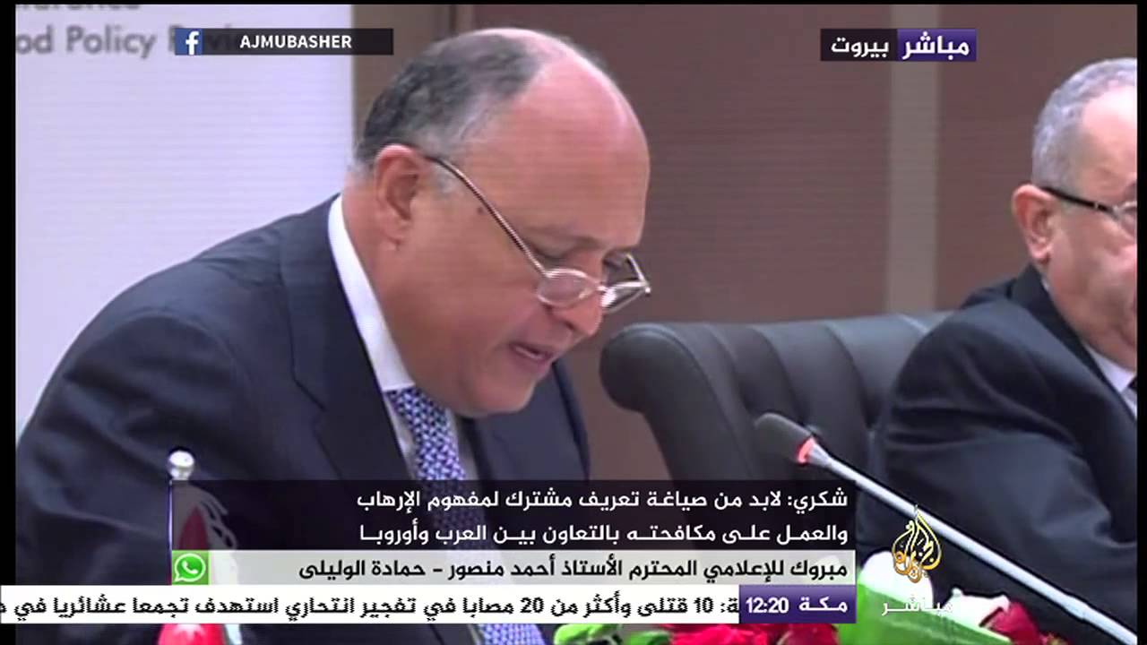كلمة وزير الخارجية المصرية بالمؤتمر الإقليمي للدول العربية الشريكة في سياسة الجوار الأوروبية