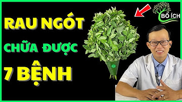 7 Lợi Ích Của Rau Ngót Chữa Được 7 Căn Bệnh Thường Gặp Nhất – Kênh Sức Khoẻ Bổ Ích