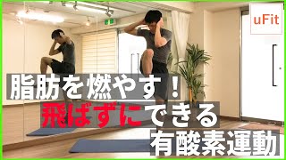 【静かにできる】自宅でできる有酸素運動！飛ばない「脂肪がすぐに燃える」ダイエットのサムネイル画像