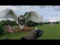 Baby snowy owl first free flight