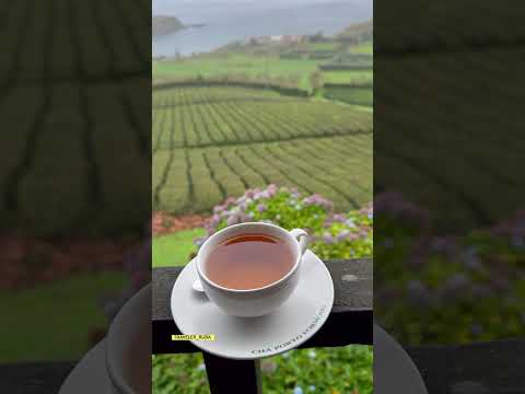 جزيرة ساو ميغيل   