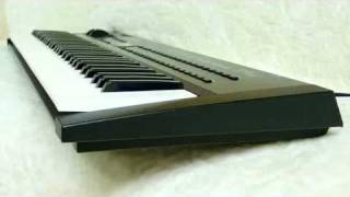 Yamaha V2 DX11 DX-11 Yamaha RAM-4 RAM4 Cartridge @ deep!sonic