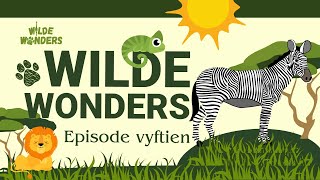 Wilde Wonders Episode Vyftien: Grévy se Sebra
