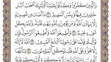 سورة التغابن من الآية 10  الى الآية 14 حفظ