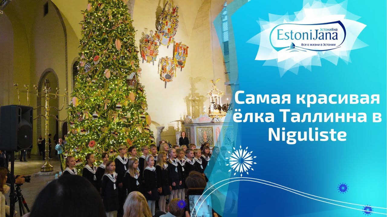 Волшебное Рождество в старинной церкви Niguliste!САМАЯ КРАСИВАЯ ЁЛКА ТАЛЛИННА!  Сюрприз от Shishi!