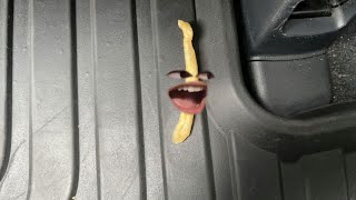 Things People Leave In The Car