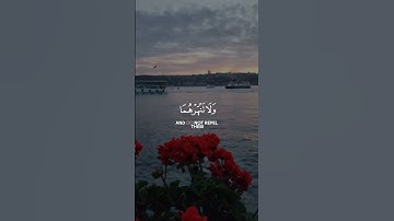 إسلام صبحي حالات واتس اب قران ❤ تلاوة خاشعة 💙Quran Status 💜 اية قرانية قصيره 💚 ستوريات انستا