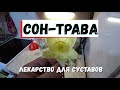 Лекарство для суставов.Подснежник, сон-трава, прострел.