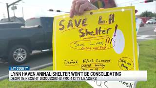 Bay county declines consolidating with Lynn Haven’s animal shelter