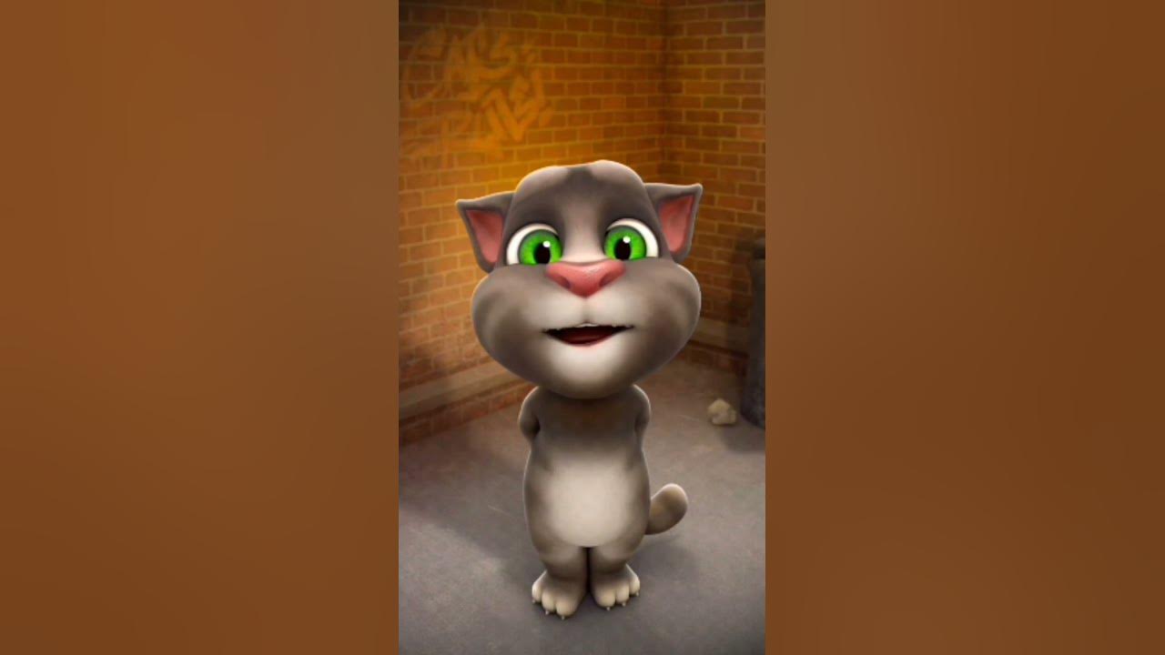 tom song ❤️❤️ #shorts #youtubeshorts #shortsfeed #tom #cat #song #tomsong