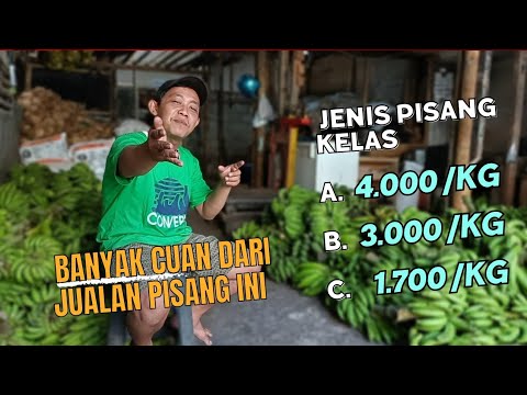 UPDATE NOTA HARGA PISANG TERBARU DAN MENGENAL JENIS PISANG KELAS ABC